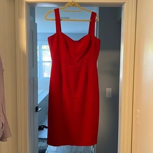 Dress the Population “Nicole” Dress